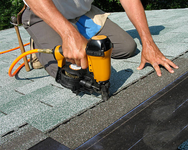 Roof Gutter Cleaning in Oneonta, NY